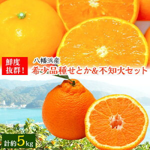 yӂ邳Ɣ[Łzщʉ̂Ƃ&sm΃Zbg(e2.5kg)yC24-21z_ ݂ ~J  k k t[c ʕ  lC  ʂ Q ls ӂ邳 y1124427z