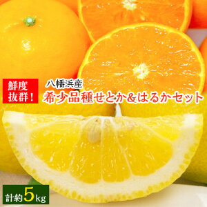yӂ邳Ɣ[Łzщʉ̂Ƃ&͂邩Zbg(e2.5kg)yC24-23zy1124429z