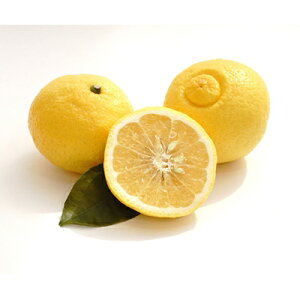 yӂ邳Ɣ[ŁzlYE͂邩5.5kg[ʌ!]yC56-10zy1138744z