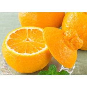 yӂ邳Ɣ[ŁzlYEsm5kg[ʌ!]yD56-13zy1139909z