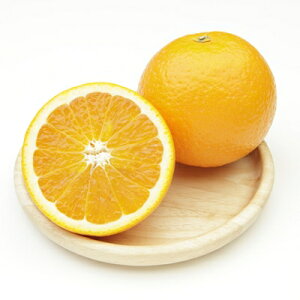 yӂ邳Ɣ[ŁzlYE5kg[ʌ!]yC56-14zy1141509z