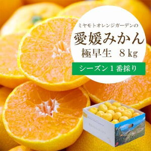 yӂ邳Ɣ[Łzy2025N10菇zV[Yԍ̂!ɑ݂ 8kgy󂠂zyC25-131zy1166252z