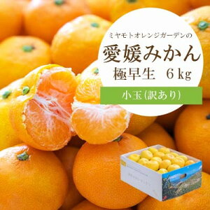 yӂ邳Ɣ[Łzy2025N10菇zV[Yԍ̂!ɑ݂ 6kgy󂠂zyC25-47zy1248092z