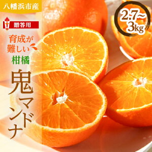 yӂ邳Ɣ[Łzk̋S锪lYES}hi(2.7kg`3.0kg)[p]yE56-16z_ ݂ ~J  k k t[c ʕ  Q ls ӂ邳 yzsn