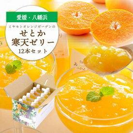 【ふるさと納税】愛媛の高級柑橘 せとか寒天ゼリー12個セット【D25-19】【1255528】