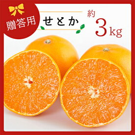 【ふるさと納税】コウ果樹園の「柑橘の大トロ　せとか3kg」【C33-1】【1269378】