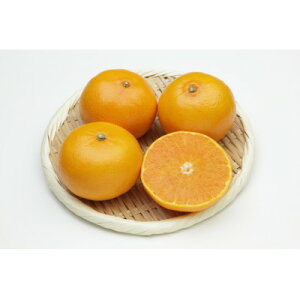 yӂ邳Ɣ[Łzk̋S锪lYEƂ3kg yE56-20z_ PA A Ƃ s KiO ~J ݂ 퉷 t[c ʕ  lC k 񂫂 Q { Yn