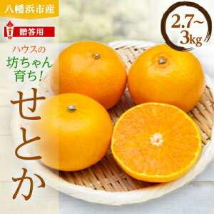 yӂ邳Ɣ[Łzk̋S锪lYEƂ(2.7kg`3.0kg)[p]yD56-21zy1283618z