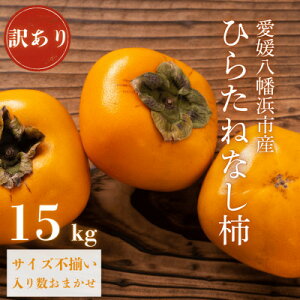 yӂ邳Ɣ[ŁzsH̖o ȂŐHׂ₷tQlY Ђ炽˂Ȃ` 󂠂15kgyH20-28z_ `  JL ˂Ȃ Ȃ`  ʕ t[c Â 󂠂 PA 킯