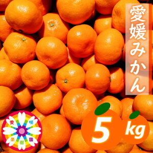 yӂ邳Ɣ[Łzu Q ݂ v5kgs ʎ tyC71-5zy1331483z