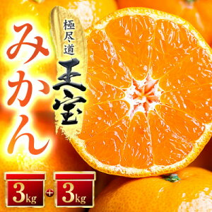 yӂ邳Ɣ[ŁzyQYzʕ݂(3kg×2)yD64-3zy1340915z