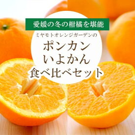 【ふるさと納税】愛媛の柑橘詰め合わせ ポンカン2.5kg・いよかん2kg食べ比べセット【訳あり】【C25-96】【1356827】