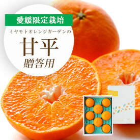 【ふるさと納税】甘平　ギフトボックス入り(のしなし/のしあり)【G1360088】