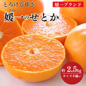 yӂ邳Ɣ[ŁzQ̊k̑㖼!uƂv2.5kgyC28-40zy1437356z