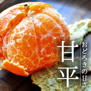 yӂ邳Ɣ[ŁzQElYuÕ:3kgvy󂠂zyD48-43zy1450449z