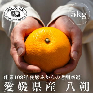 yӂ邳Ɣ[ŁznƕSN Q݂̘V܁y5kgzƒpyV_zyC70-28zy1470659z