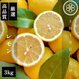 【ふるさと納税】新口農園厳選 レモン 3kg【C70-20】【1470687】