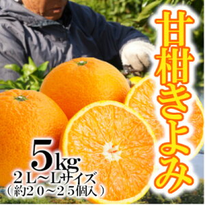 �y�ӂ邳�Ɣ[�Łz�u�Ê�����݁v5kg�yC79-27�z_ �݂��� �~�J�� ���k �������� �ʕ� �t���[�c ���� ����� �Ê� �^���S�[�� �Z�� �Â� 5kg �퉷 �f�U�[�g �Y�n���� �Y�� �y1474163�z