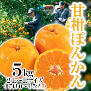 �y�ӂ邳�Ɣ[�Łz�u�Ê��ۂ񂩂�v5kg/2L�܂���L�T�C�Y/�yC79-22�z_ �݂��� �~�J�� ���k �������� �ʕ� �t���[�c �ۂ񂩂� �|���J�� �Ê� �R�N �Z�� �Â� 5kg �퉷 �f�U�[�g �Y�n���� �Y�� �y1474166