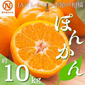 yӂ邳Ɣ[ŁzJAɂ̋G߂̊k(|J 10kg)yF08-5zy1474210z