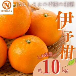 yӂ邳Ɣ[ŁzJAɂ̋G߂̊k(ɗ\ 10kg)yE08-7zy1474221z