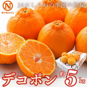 yӂ邳Ɣ[ŁzJAɂ̋G߂̊k(fR| 5kg@ϔ)yF08-8zy1474244z