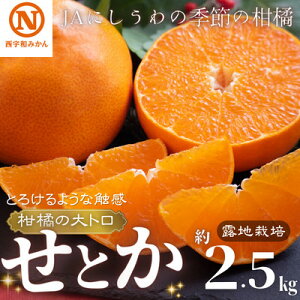 yӂ邳Ɣ[ŁzJAɂ̋G߂̊k(Ƃ@2.5kg@ϔ@In͔|)yE08-64zy1474321z