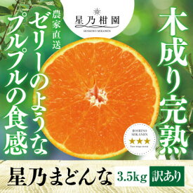 【ふるさと納税】星乃みかん園の星乃まどんな(3.5kg)【訳あり】【C45-86】【1475871】