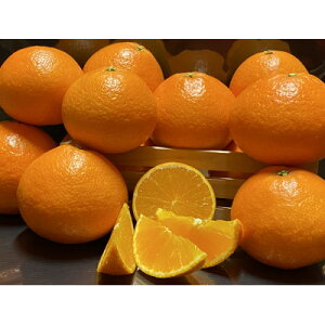 yӂ邳Ɣ[ŁzzƊĈ܂ǂ2.5kgypzyD73-2zy1491884z