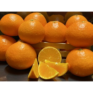 yӂ邳Ɣ[ŁzzƊĈ܂ǂ2.5kgyƒpzyC73-7zy1491885z