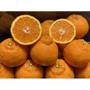 yӂ邳Ɣ[ŁzzƊC̕sm5kgyƒpzyC73-4zy1491886z