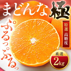 【ふるさと納税】「夕やけブランド」ぷるぷる食感【まどんな】2kg　※紅まどんなと同品種　【D49-39】_ みかん ミカン 柑橘 マドンナ まどんな 果物 くだもの フルーツ 甘い 希少 ぷるぷる 愛媛 極 【1508951】