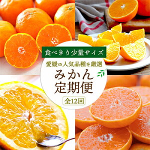 yӂ邳Ɣ[ŁzyŒցzHא؂菭ʃTCY Q̐lCi!k(Gi)S12yH25-156zyzsnFzy4012890z