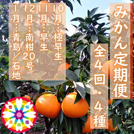 【ふるさと納税】【発送月固定定期便】愛咲果樹園「みかん定期便」(10月～1月)全4回【D71-19】【4013210】