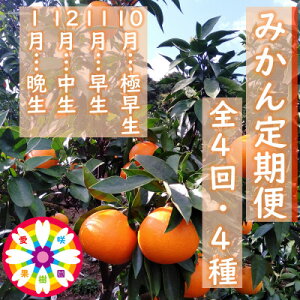 yӂ邳Ɣ[ŁzyŒցzʎu݂ցv(10`1)S4yD71-19z_  ݂ ~J B  퉷 Y t[c ʕ  lC k 񂫂 Q {