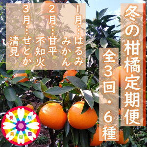 yӂ邳Ɣ[ŁzyŒցzʎu~̊kցv(1`3)S3yF71-20z_ ݂ ~J k  ʕ t[c   Õ sm Ƃ   