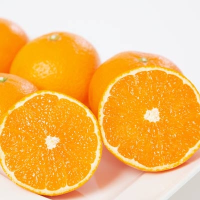 新作入荷!! 正規逆輸入品 みかんとオレンジのいいとこどり ふるさと納税 ミヤモトオレンジガーデンの 清見5kg C25-41 1044409 mariamdesign.nl mariamdesign.nl