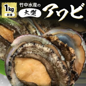 yӂ邳Ɣ[Łz|Y̚nD̑^Ar(1kgO)!yH22-227z_  Ar  hg |Y  Y ① CN L 1kg lC  ^ Xe[L O yzsnF