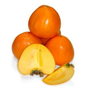 yӂ邳Ɣ[ŁzQlYxm`10kgyʁzyF35-6zy1492248z