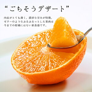yӂ邳Ɣ[Łz(lt)REʎ́uI@؂܂ǂȁv3kg(4L`L@8`15)yE33-47zy1526083z