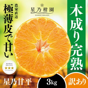 yӂ邳Ɣ[Łzy󂠂zT݂񉀂̊Õ(3kg)yC45-88zy1535971z