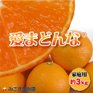 yӂ邳Ɣ[Łz܂ǂ(ƒp)3kg@12{`{ɏyD21-34zy1538889z