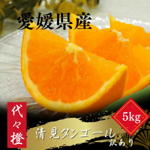 yӂ邳Ɣ[ŁzygbƂƂ낯ʎzy󂠂z^S[ 5kgyC83-16zy1549106z