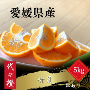 yӂ邳Ɣ[ŁzyقꂭĊÎ_ςzy󂠂zÉ 5kgyC83-17zy1549107z