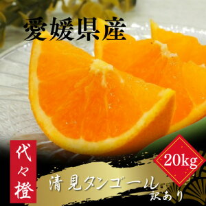 yӂ邳Ɣ[ŁzygbƂƂ낯ʎzy󂠂z^S[ 20kgyH83-27zy1557491z
