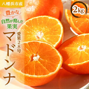 yӂ邳Ɣ[ŁzlY28}hi2kgyC56-58zyzsnFEkCEꌧzy1569489z