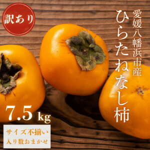 yӂ邳Ɣ[ŁzsH̖o ȂŐHׂ₷t 󂠂 Ђ炽˂Ȃ` 7.5kgyD20-36zy1594868z