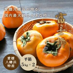 yӂ邳Ɣ[ŁzslY ő勉 `t xm` 10kg (5kg×2)햳yH20-37zy1594879z