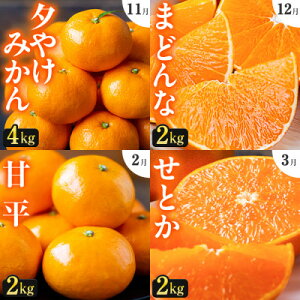 yӂ邳Ɣ[ŁzyŒցzu̏̓~vlC4i!yH49-70zS4y4056121z