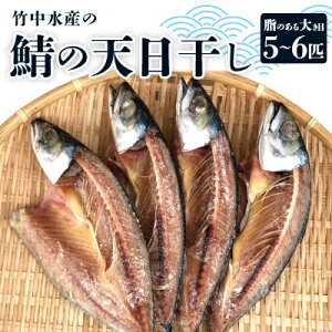 【ふるさと納税】竹中水産の「鯖の天日干し」脂のある大き目を5〜6匹ご用意!【C22-265】【配送不可地域:離島】【1078741】